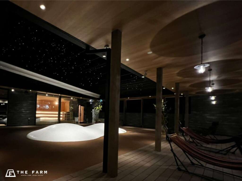 ふたご座流星群