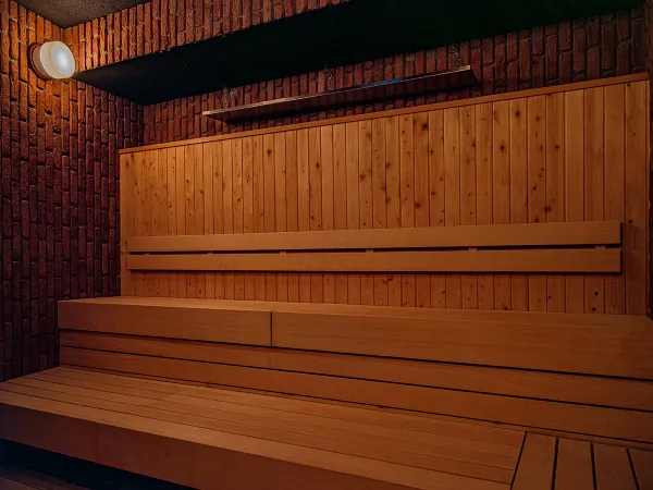 東京の穴場サウナ