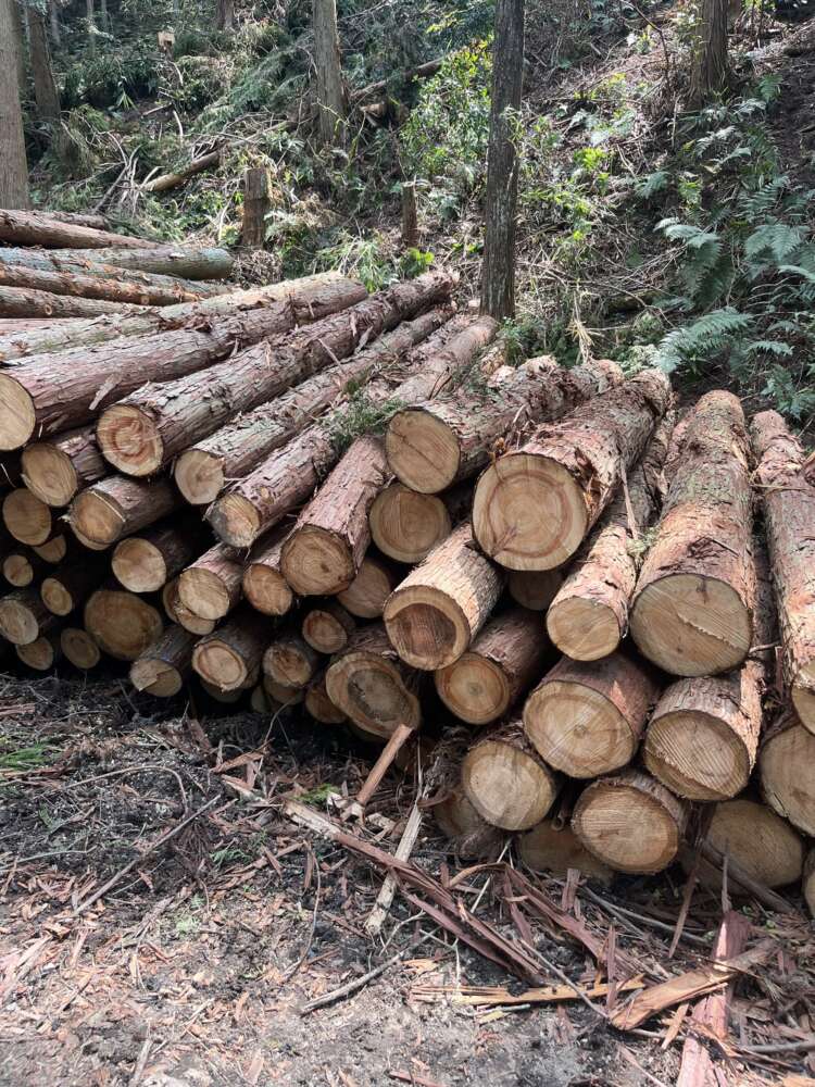 セトレ キャナル 名古屋