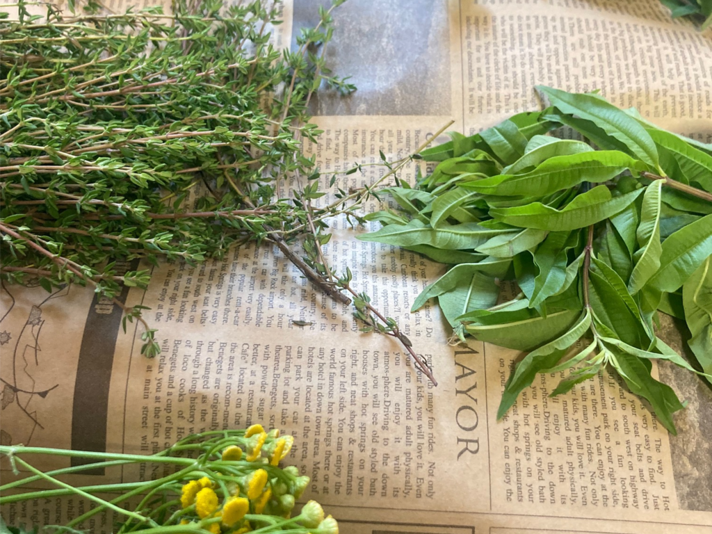 goodsauna & spa SAPPORO