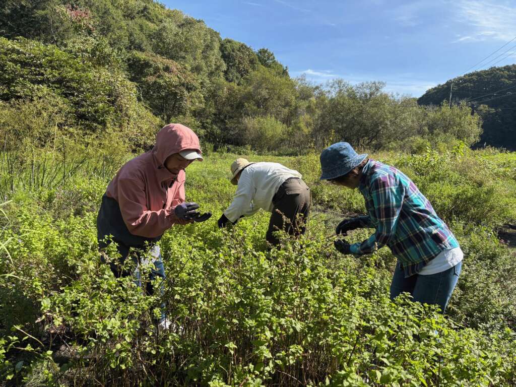 goodsauna & spa SAPPORO