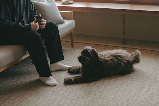 NIPPONIA HOTEL 伊賀上野 城下町