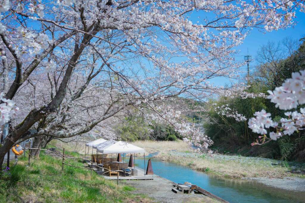 お花見サウナフェス2026