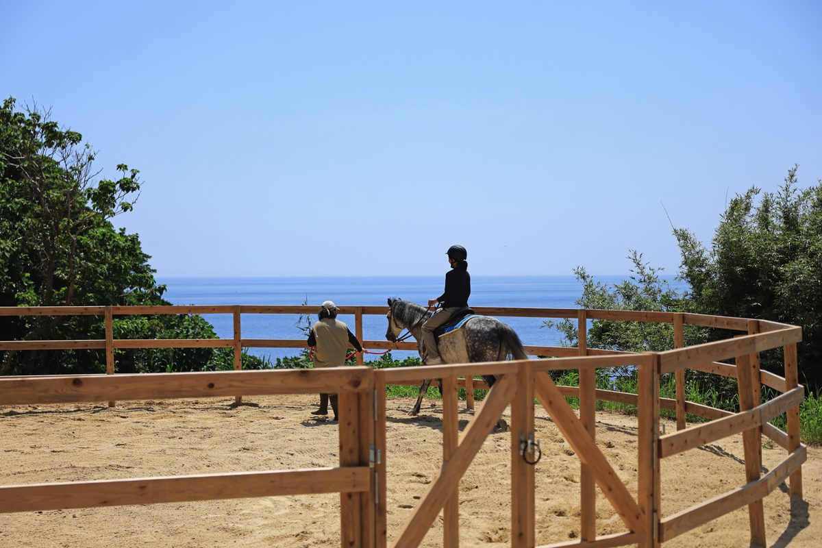 宮崎の無人島リゾート「HINATA大島」2026年10月1日開業、全7棟にサウナ完備で”九州ふっこう応援割”も
